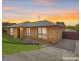 36 Auklet Road, Mount Hutton NSW 2290