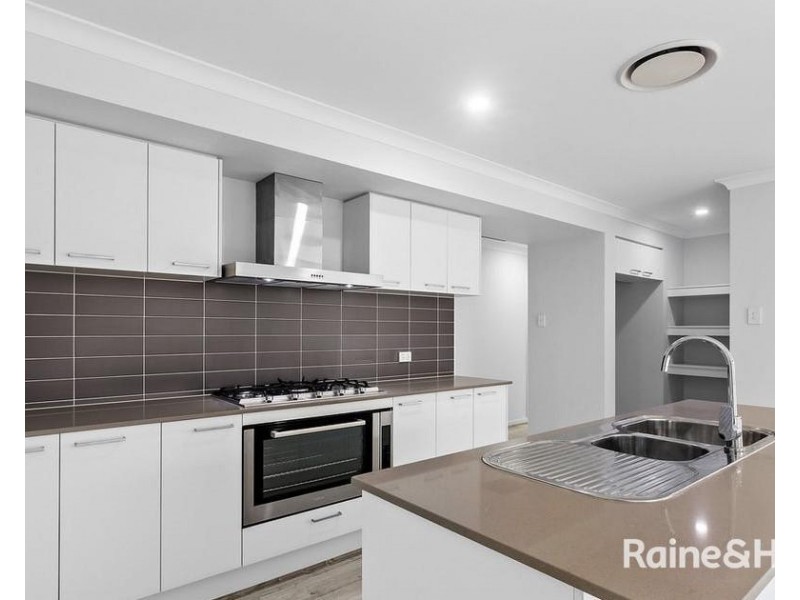 95 Dragonfly Drive, Chisholm NSW 2322