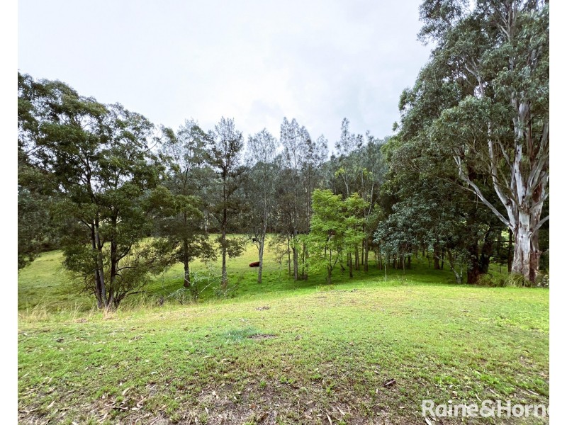 1656 Maitland Vane Road, Lambs Valley NSW 2335