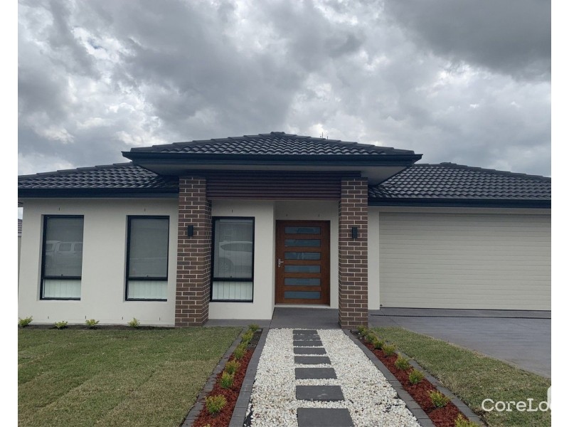 49 Harvest Boulevard, Chisholm NSW 2322