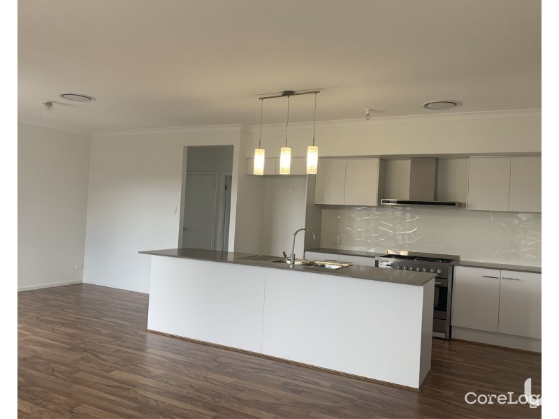 49 Harvest Boulevard, Chisholm NSW 2322