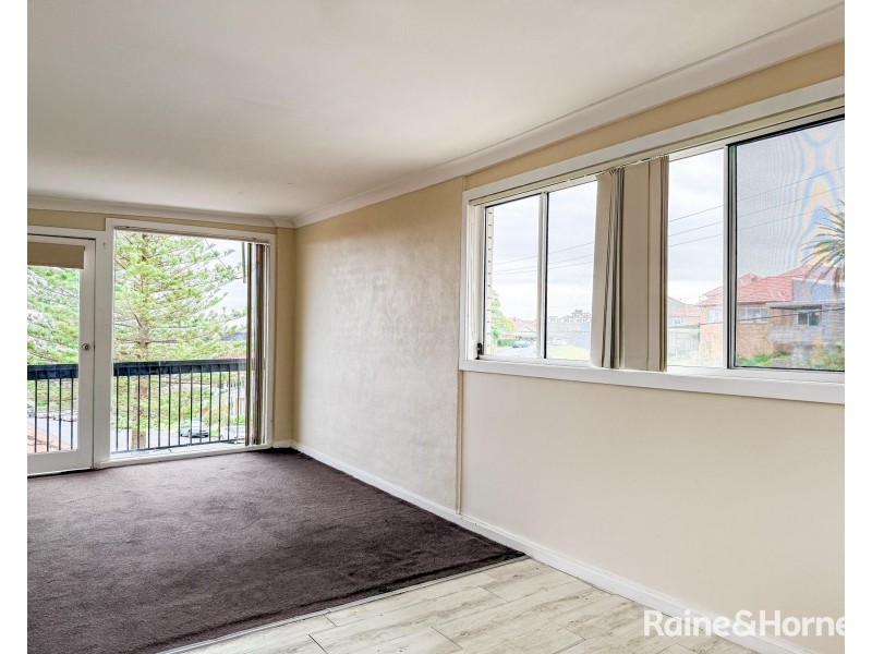 22 Nesca Parade, The Hill NSW 2300