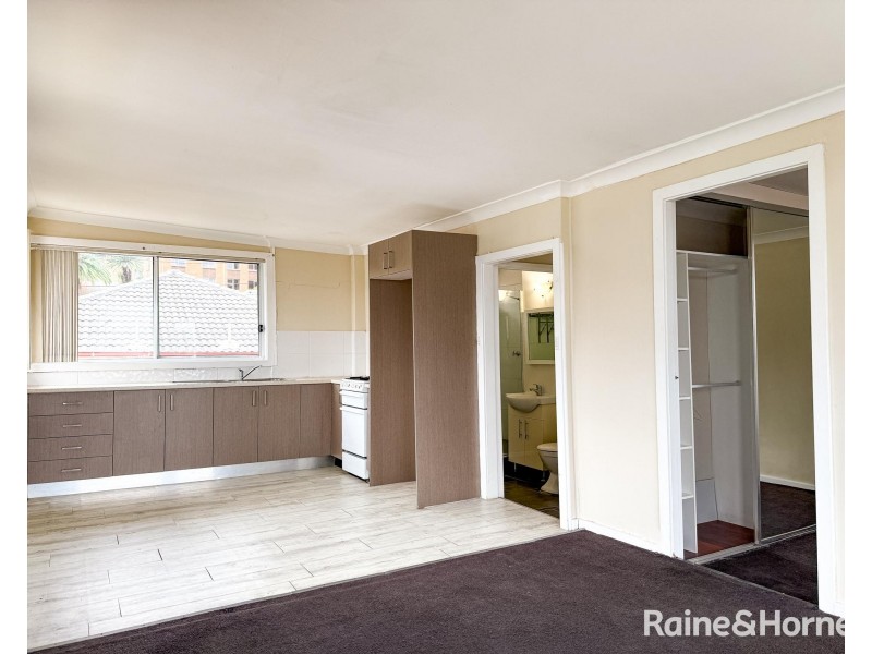 22 Nesca Parade, The Hill NSW 2300