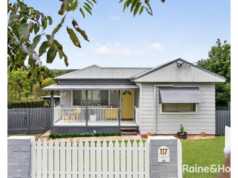 117 Cardiff Road, Elermore Vale NSW 2287
