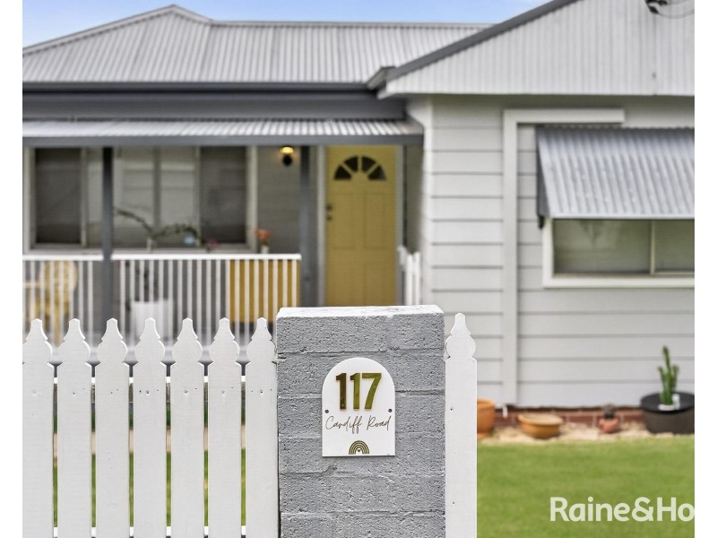 117 Cardiff Road, Elermore Vale NSW 2287