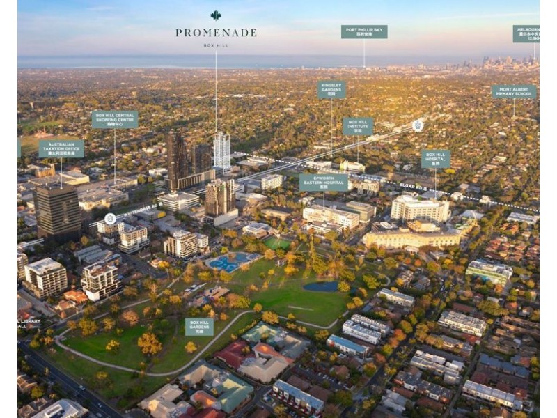 1002/34-36 Prospect Street, Box Hill VIC 3128