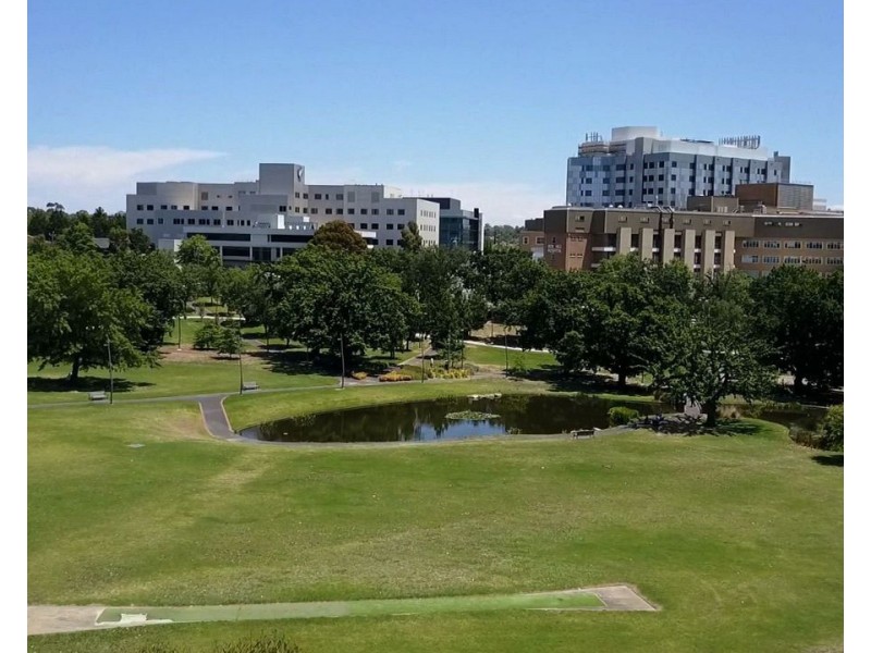 1002/34-36 Prospect Street, Box Hill VIC 3128