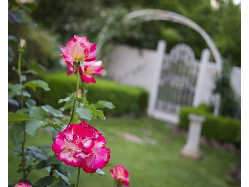 19 Central Avenue, Balwyn North VIC 3104