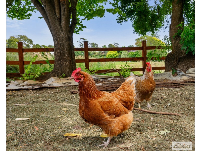 31 Stanwyn Court, Wynyard TAS 7325