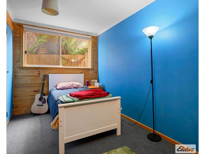 7 Byworth Street, Park Grove TAS 7320