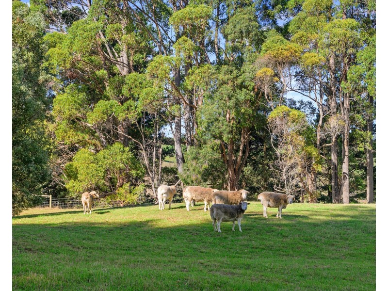 65 Buggs Lane, Elliott TAS 7325