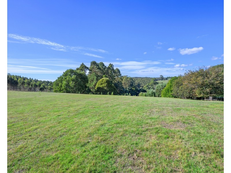 65 Buggs Lane, Elliott TAS 7325