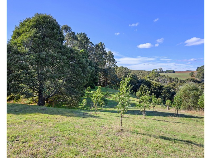 65 Buggs Lane, Elliott TAS 7325