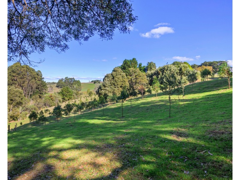 65 Buggs Lane, Elliott TAS 7325