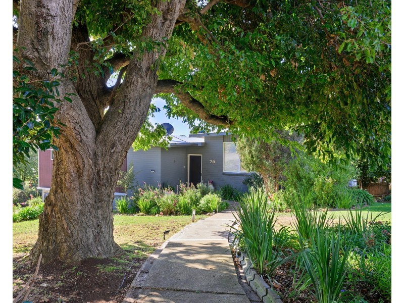 78 West Park Grove, Park Grove TAS 7320