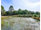 89 Lyons Road, Lapoinya TAS 7325