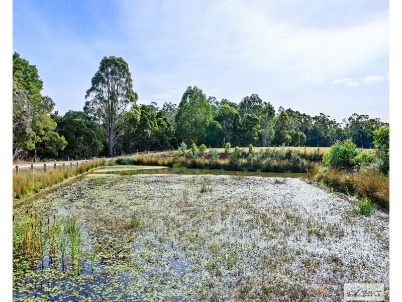 89 Lyons Road, Lapoinya TAS 7325