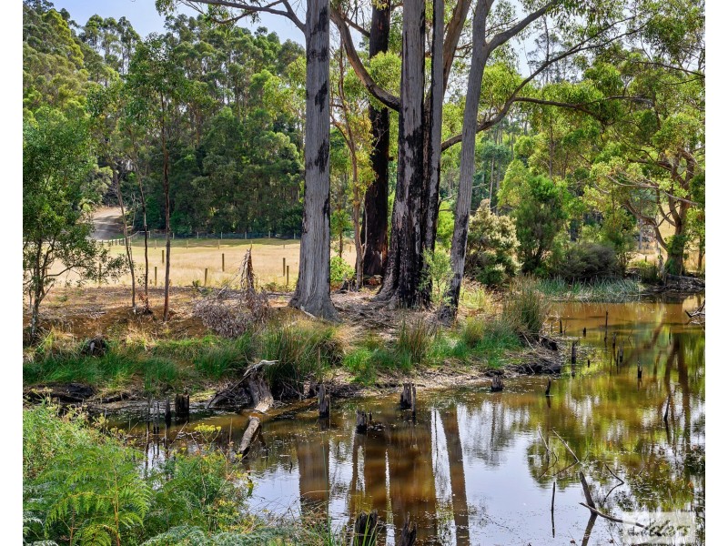 89 Lyons Road, Lapoinya TAS 7325