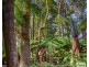 89 Lyons Road, Lapoinya TAS 7325