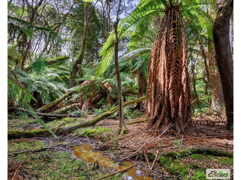 89 Lyons Road, Lapoinya TAS 7325