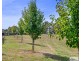 89 Lyons Road, Lapoinya TAS 7325