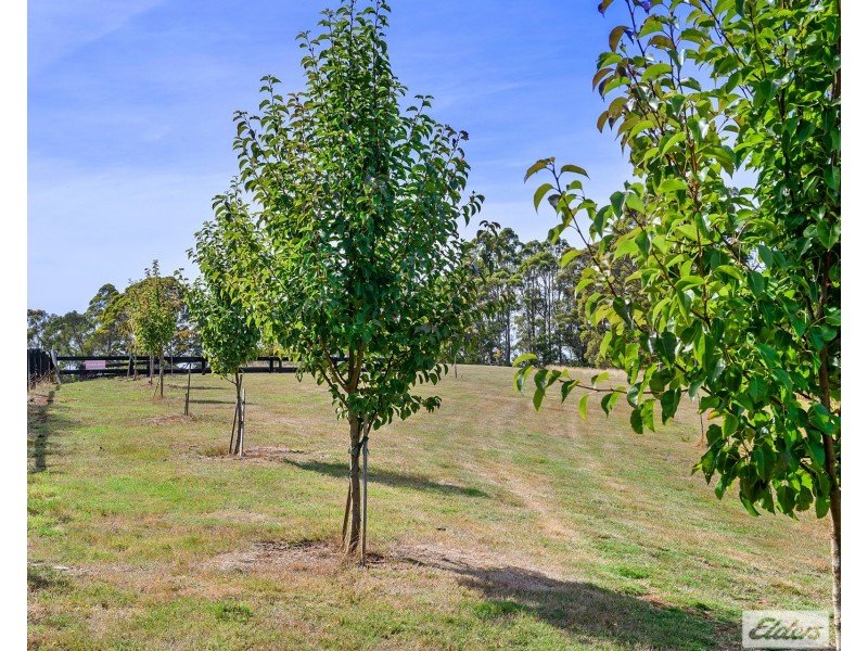 89 Lyons Road, Lapoinya TAS 7325