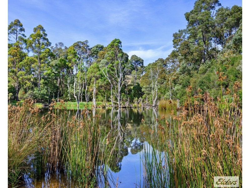89 Lyons Road, Lapoinya TAS 7325