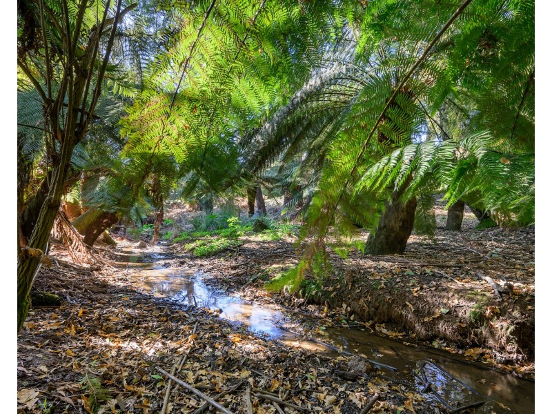 164 Mount Street, Hillcrest TAS 7320