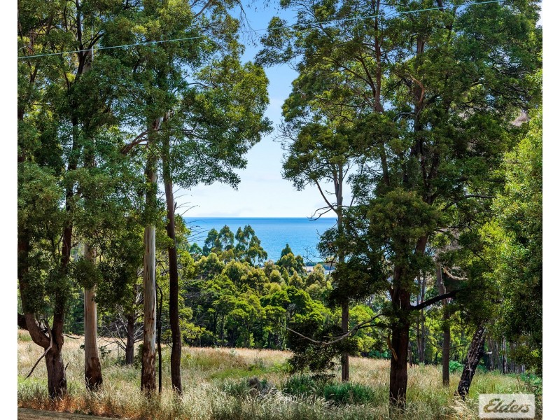 14 Old Surrey Road, Emu Heights TAS 7320