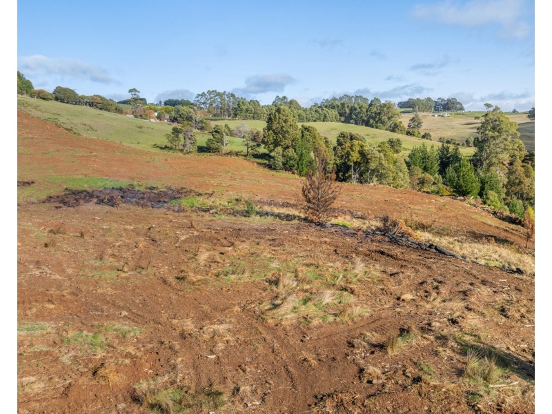 Loonah Road, Natone TAS 7321