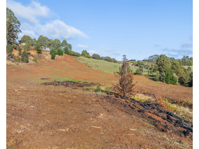 Loonah Road, Natone TAS 7321