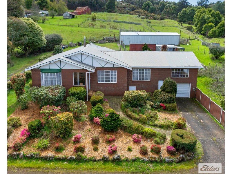 64 West Ridgley Road, Ridgley TAS 7321