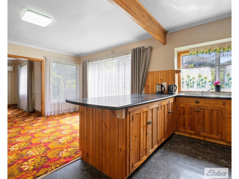 64 West Ridgley Road, Ridgley TAS 7321