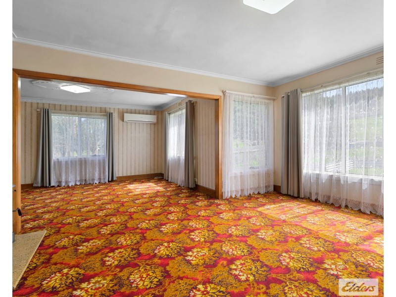 64 West Ridgley Road, Ridgley TAS 7321