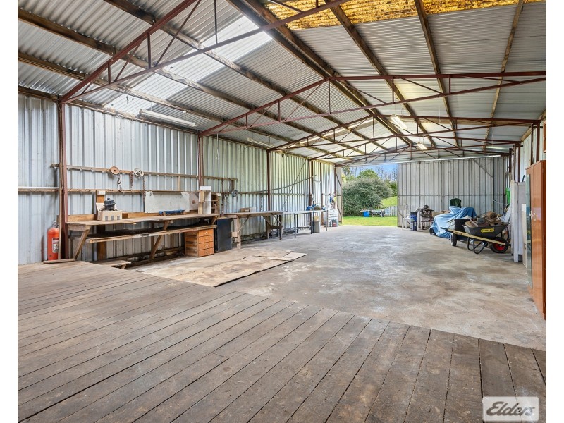 64 West Ridgley Road, Ridgley TAS 7321
