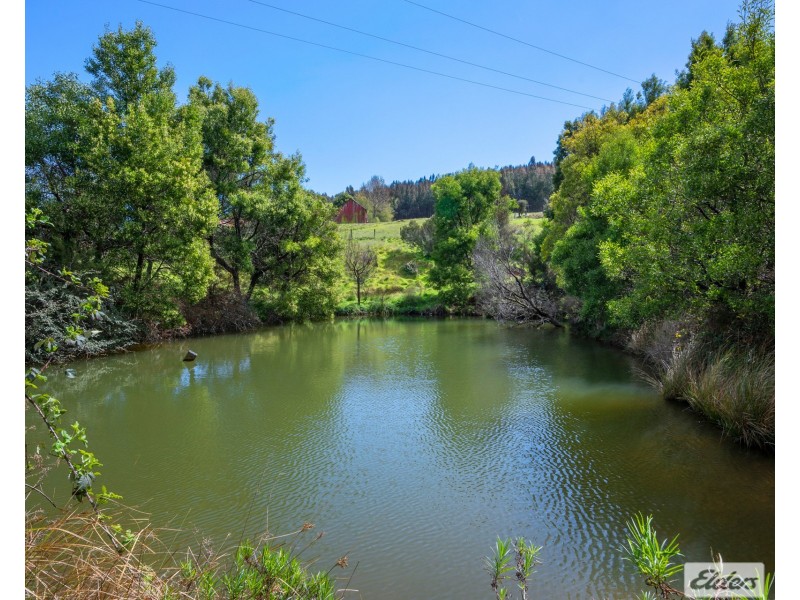 64 West Ridgley Road, Ridgley TAS 7321