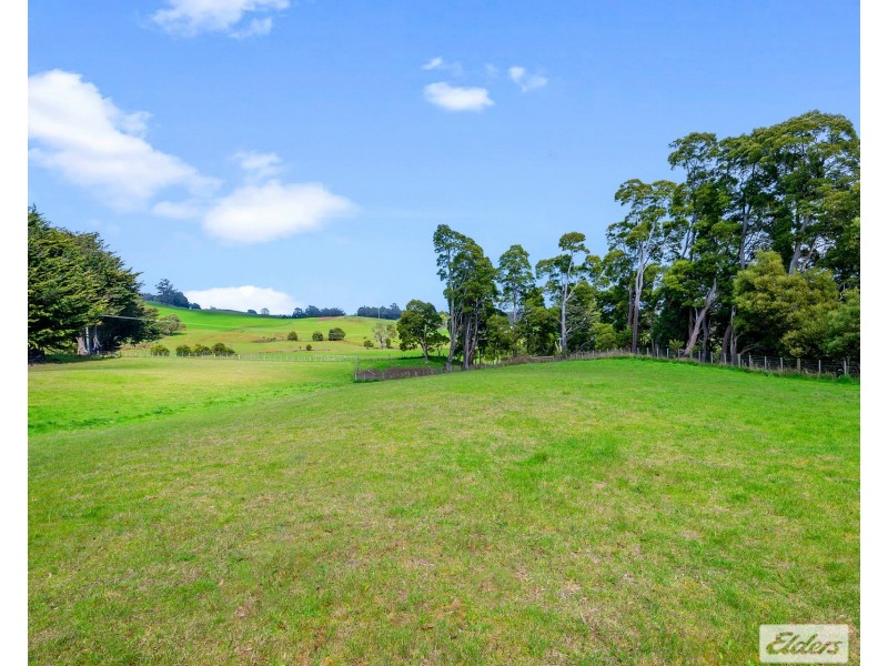 64 West Ridgley Road, Ridgley TAS 7321