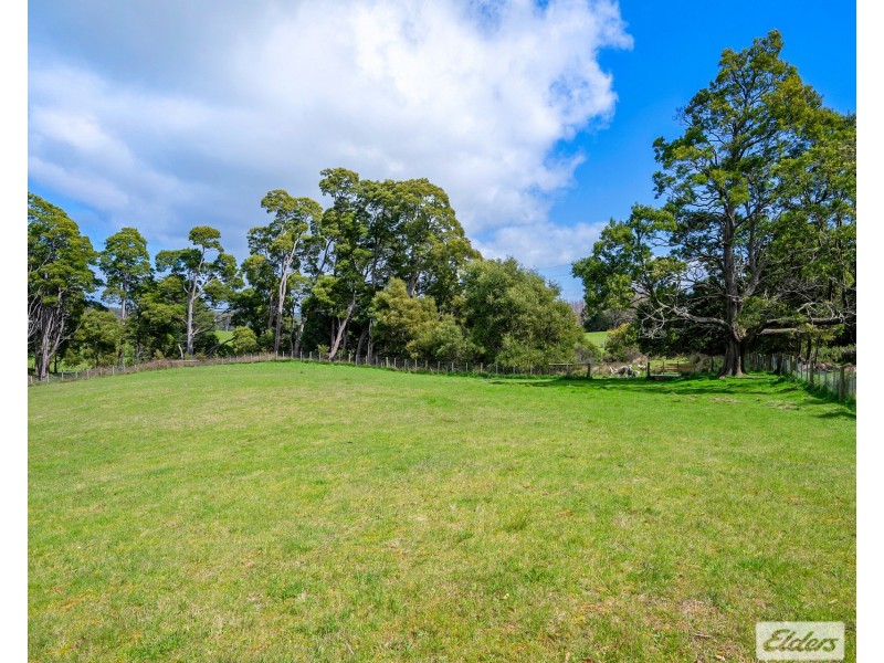 64 West Ridgley Road, Ridgley TAS 7321