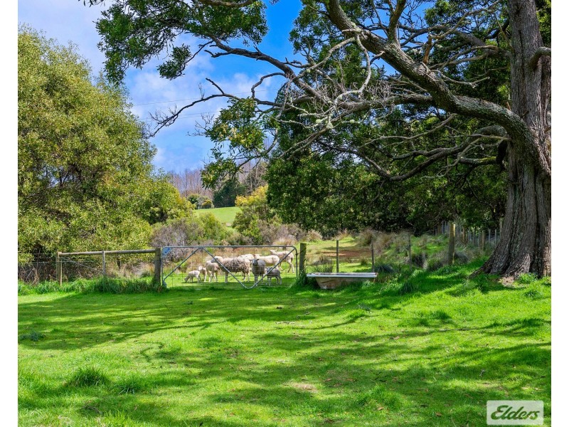 64 West Ridgley Road, Ridgley TAS 7321