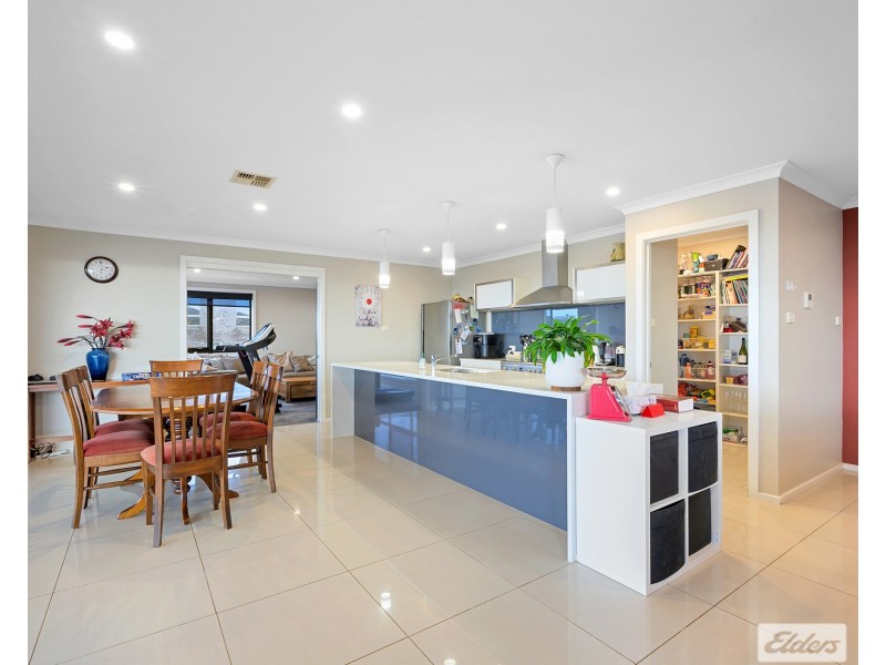 61 Brickport Road, Park Grove TAS 7320