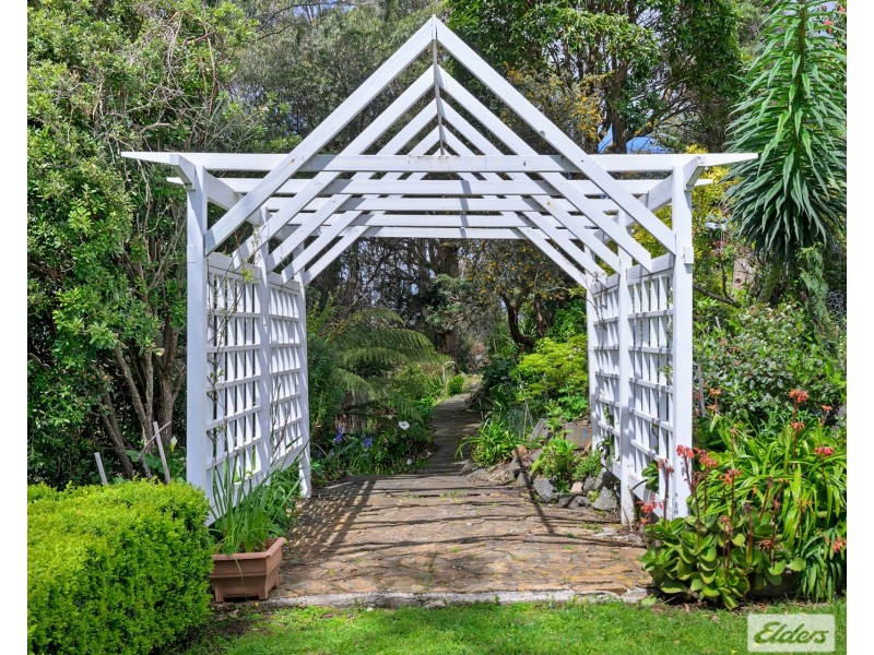61 Old Mount Hicks Road, Mount Hicks TAS 7325