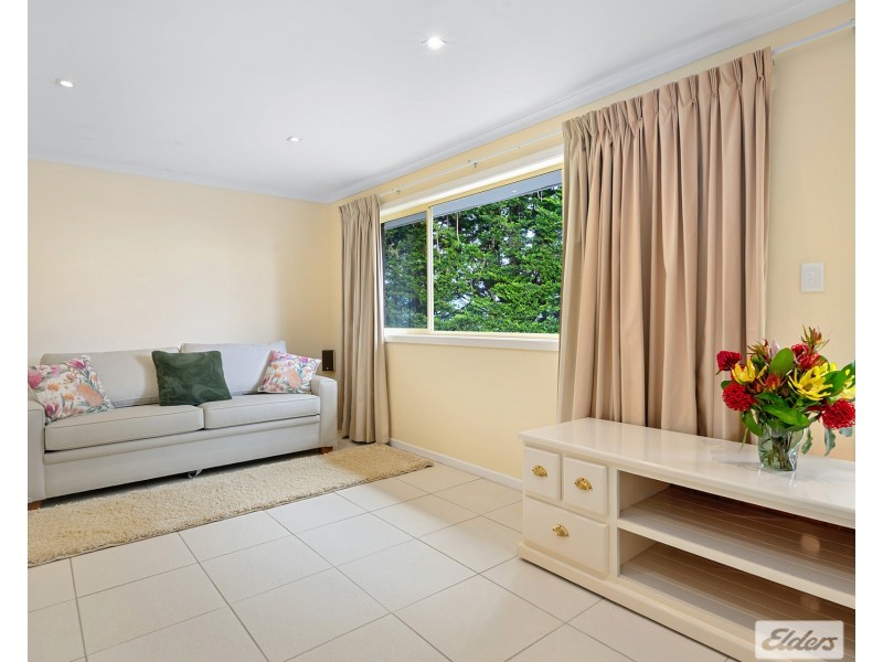 61 Old Mount Hicks Road, Mount Hicks TAS 7325