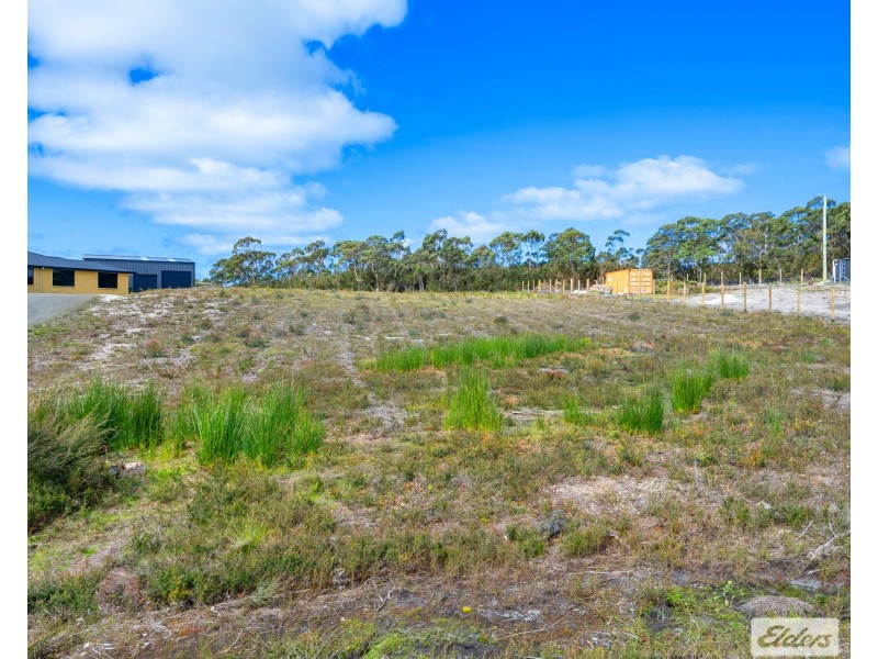 4 Winforton Avenue, Heybridge TAS 7316