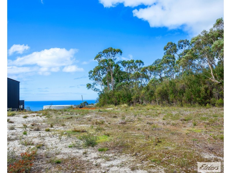 4 Winforton Avenue, Heybridge TAS 7316