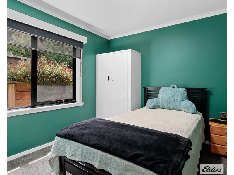 3 Wembley Street, Brooklyn TAS 7320