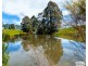 48 Lottah Road, Natone TAS 7321