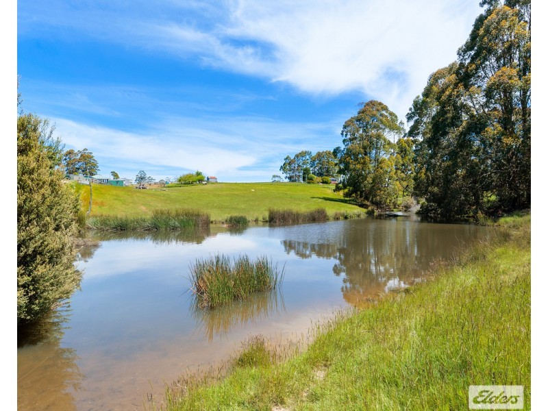 48 Lottah Road, Natone TAS 7321
