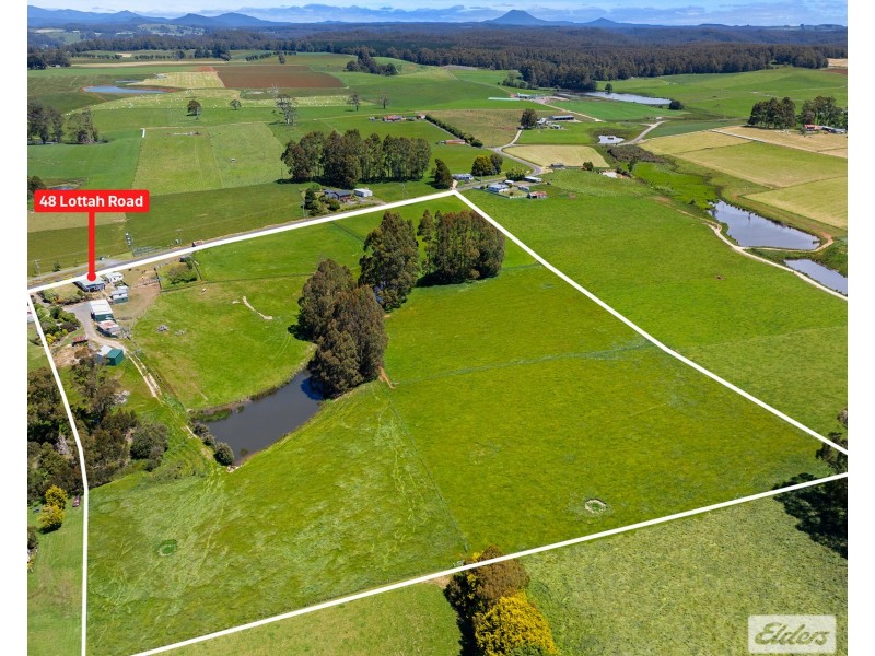 48 Lottah Road, Natone TAS 7321