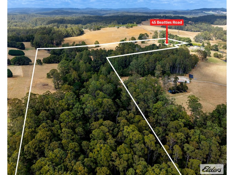 45 Beatties Road, Lapoinya TAS 7325