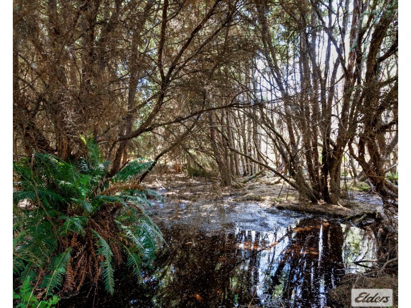 Lot 1,  Applebys Road, Upper Natone TAS 7321